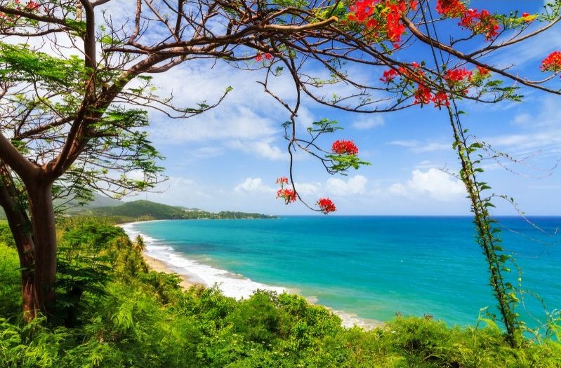 a beautiful beach in Puerto Rico