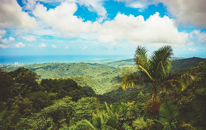El Yunque National Forrest Tours