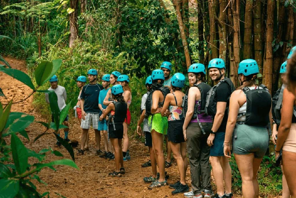el yunque rainforest tours