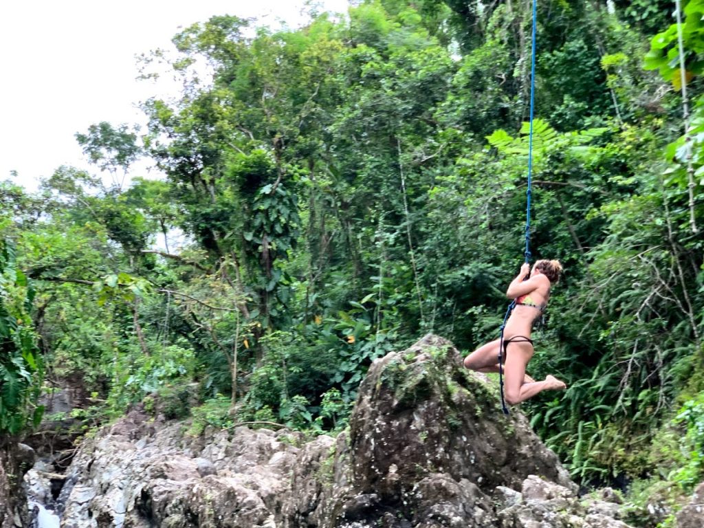 roapjumping in Puerto Rico tropical fores