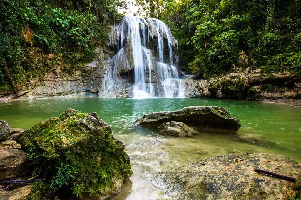 La Coca trail in El Yunque Tour