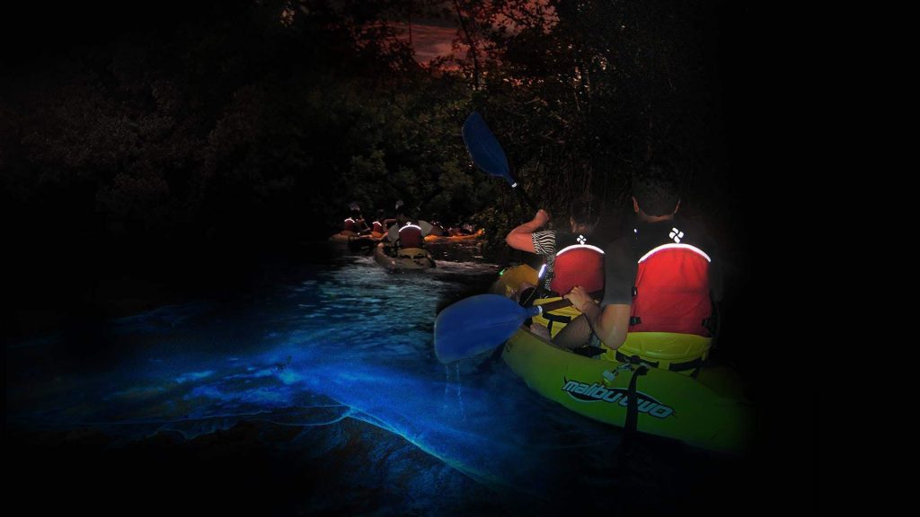 bioluminescent bay kayaking