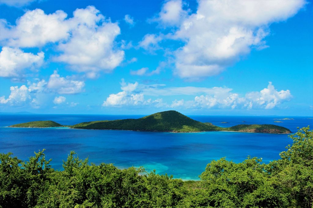 a large body of water, view on mosquito bay Puerto Rico