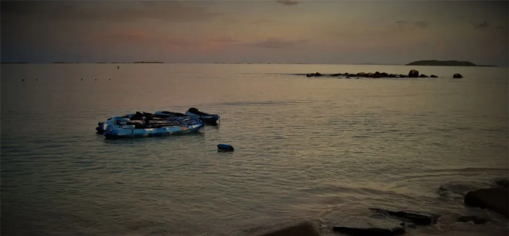 laguna grande bio bay tour puerto rico 